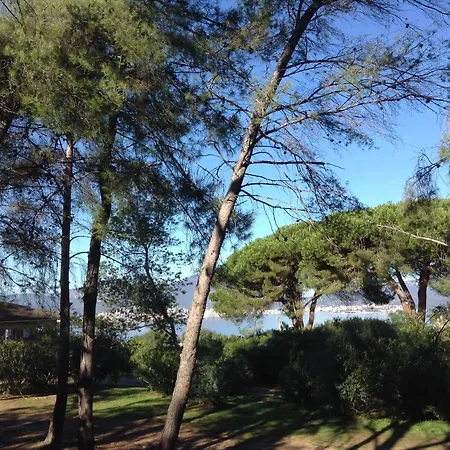 Domaine Amandiers - Mimosa Chalet
